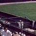 Joe Ginsberg Photo 8
