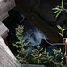 Thomas Parsons Photo 39