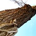 Samuel Blick Photo 9