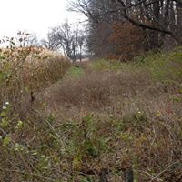 Michael Rohde Photo 14