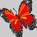 Mohammed Hossain Photo 41
