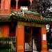 Ching Tsai Photo 6