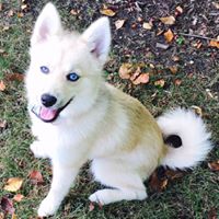 Laura Schaefer Photo 18 Laura Schaefer Photo 18