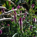 Heather Parks Photo 25