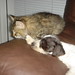 Thomas Bowers Photo 34