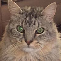 Susan Arrington Photo 29