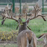 Jerry Erickson Photo 11