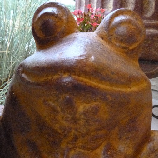 Michele Abrams Photo 19