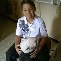 Susan Shearer Photo 21