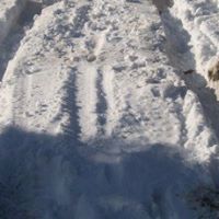 Priscilla Watts Photo 12