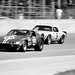 Ray Ritchie Photo 12