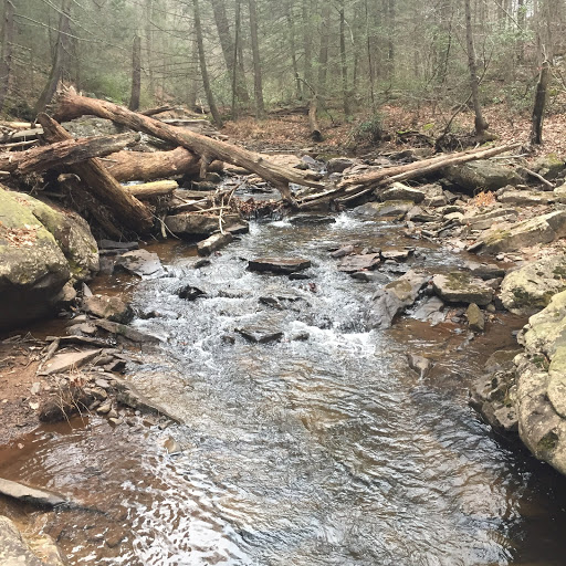 Bret Williams Photo 13