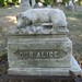 Alice Phillips Photo 23