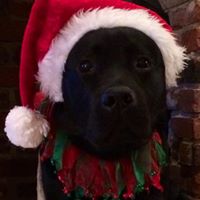 Andrea Halley Photo 7