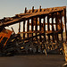 Steven Rost Photo 13