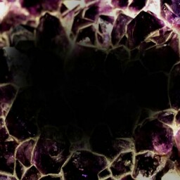 David Gipson Photo 8