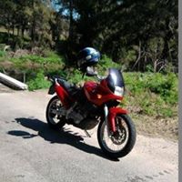 Harry Meyers Photo 19