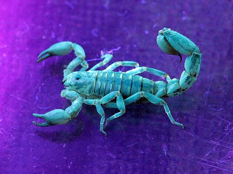 Eric Alvarado Photo 11