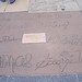 Cathy Becker Photo 36