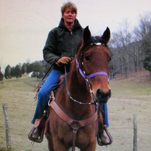 Debbie Buckner Photo 16