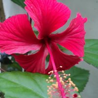 Julia Sierra Photo 11