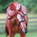 William Kroll Photo 17