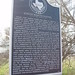 Mae Martin Photo 9