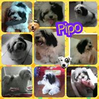 Janet Jaramillo Photo 36