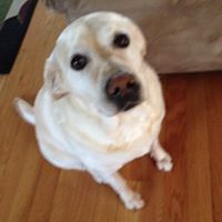 Kathleen Starr Photo 32