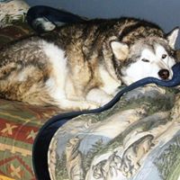 Anne Conley Photo 10