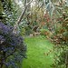 Anne Comstock Photo 17