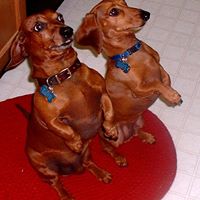 James Miner Photo 32