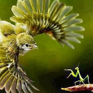 Julian Jenkins Photo 33