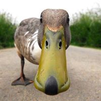 Walter Roach Photo 13