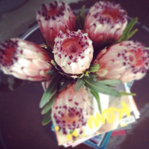 Ellen Newman Photo 17