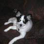 Ann Grimm Photo 10