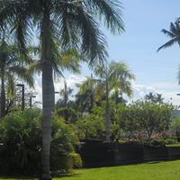 Candice Walls Photo 1