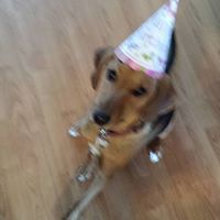 Janice Sadler Photo 10