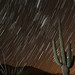Randy Tuttle Photo 21