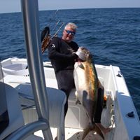 Gary Mosley Photo 17