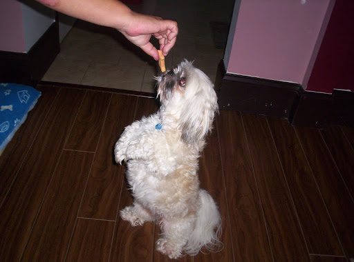 Roger Watson Photo 22