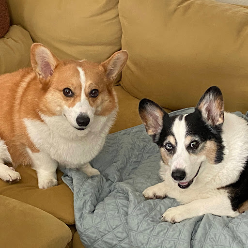 Crystal Mcelroy Photo 11