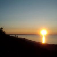 Walter Roach Photo 15