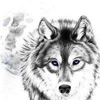 Annette Wolfe Photo 13