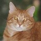 Eddie Mcdaniel Photo 22