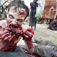 Cynthia Echols Photo 12