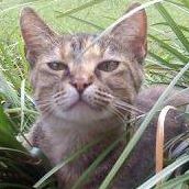 Carla Hardee Photo 3