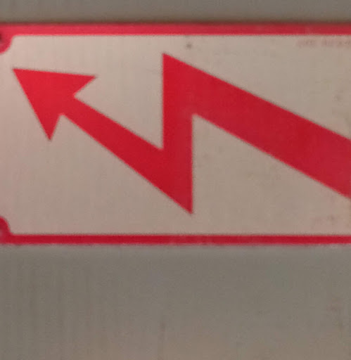 Tracy Frost Photo 18