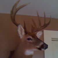 Stacey Payne Photo 36