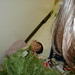 Alex Poole Photo 41